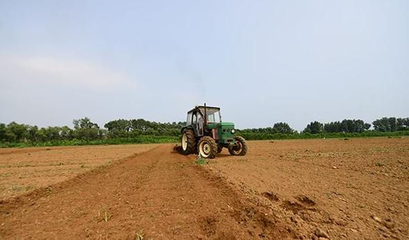 辽宁干旱农田缺墒：70天无有效降雨 缺墒面积1470.95万亩