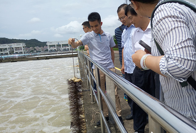 香港用水水源