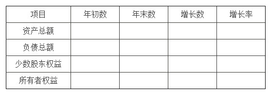 财务分析报告参考模版